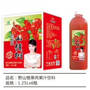 九州華洋山楂樹野山楂果肉果汁飲料簡箱